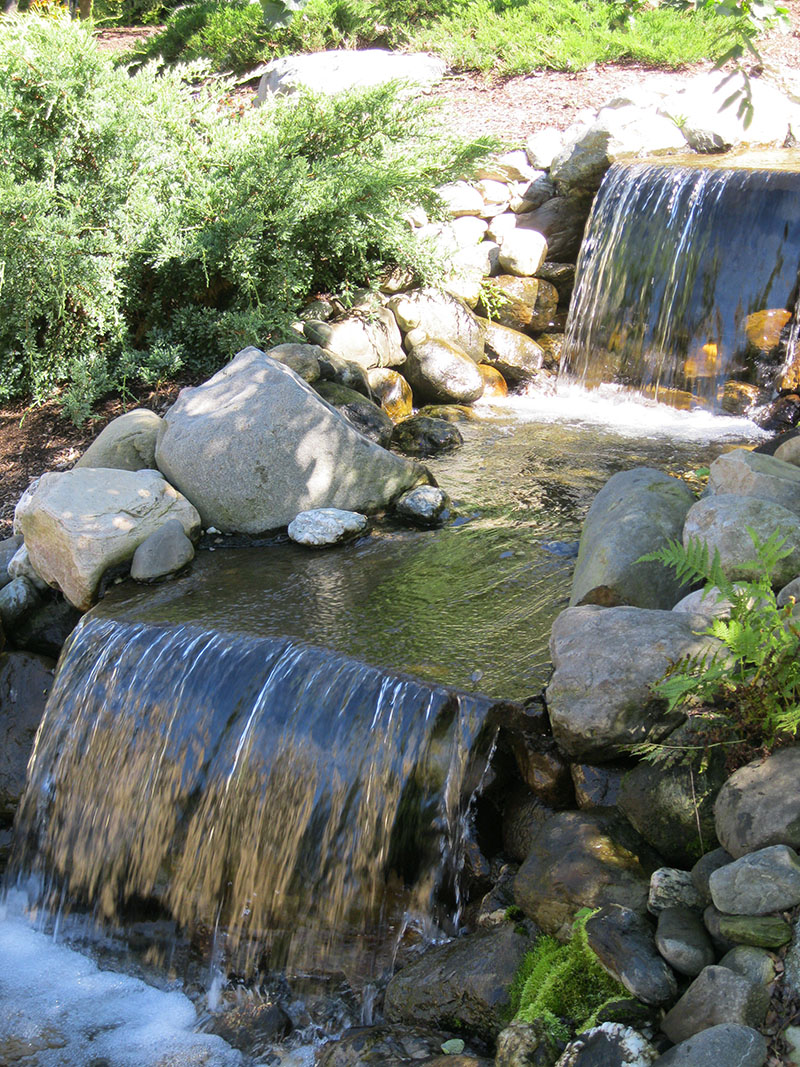 Essex Residence landscaping