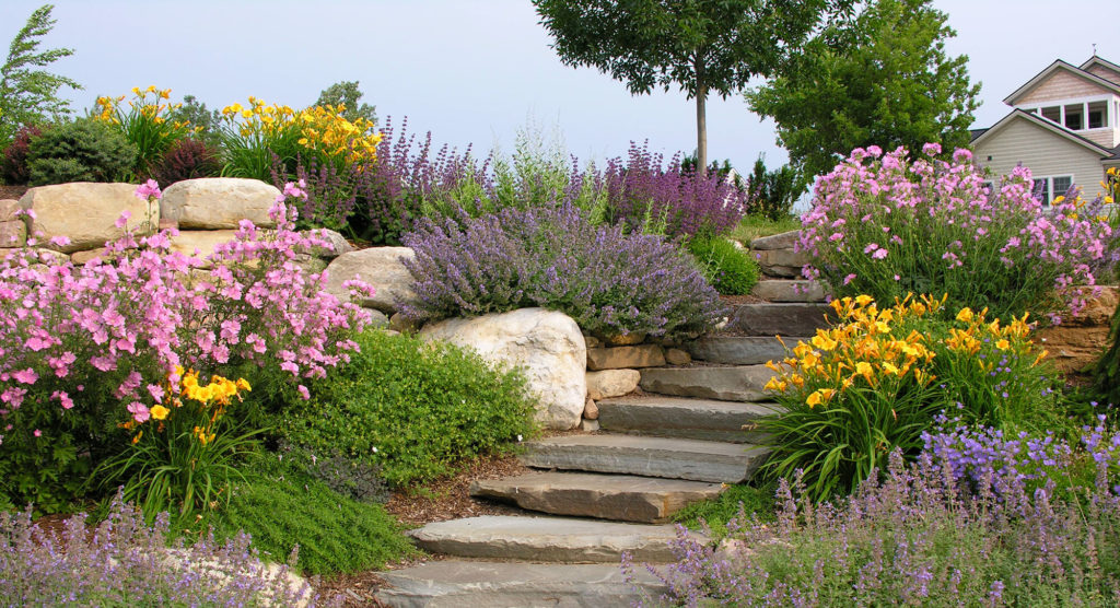 Flowers surrounding a stone staircases