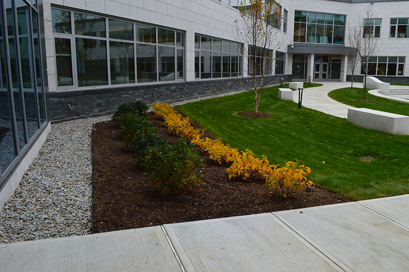 Waterbury State Office Complex landscaping