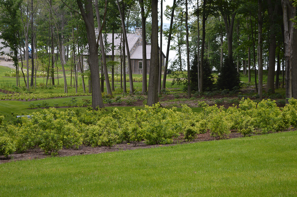 large scale residential landscapers